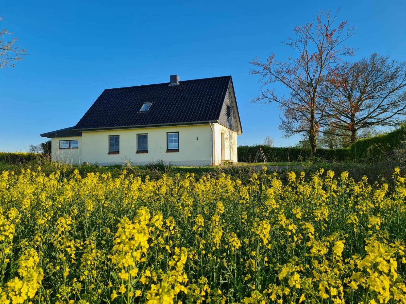Ferienhaus Loimoos Schnarup-Thumby Ngoại thất bức ảnh